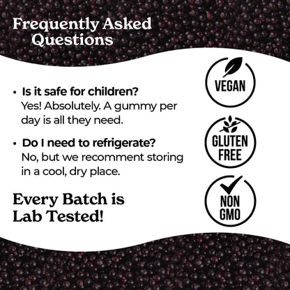 Norm's Farms Organic Elderberry Gummies - Daily Immune Support for Adults & Kids