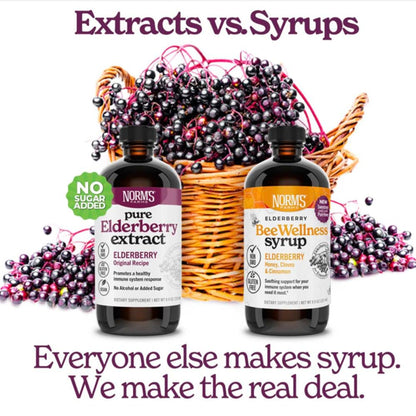 Norm's Farms Elderberry Extract & BeeWellness Syrup 2PK – Immune Support for Kids & Adults, Made in USA