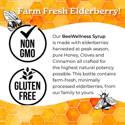 Norm's Farms Elderberry Extract & BeeWellness Syrup 2PK – Immune Support for Kids & Adults, Made in USA