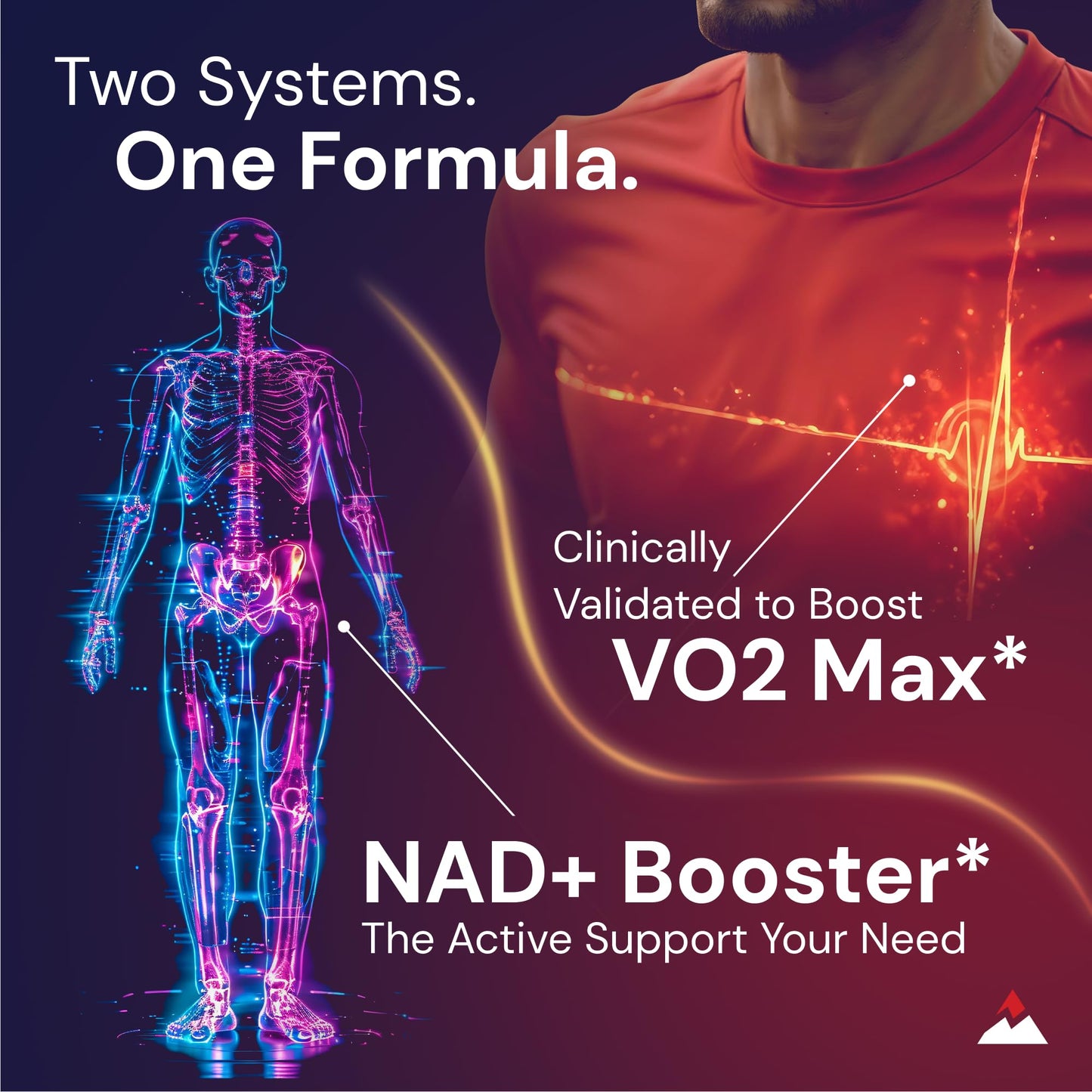 Novex Biotech Oxydrene NAD+ Enhancer – Metabolism & Cardiovascular Support (60 Capsules)