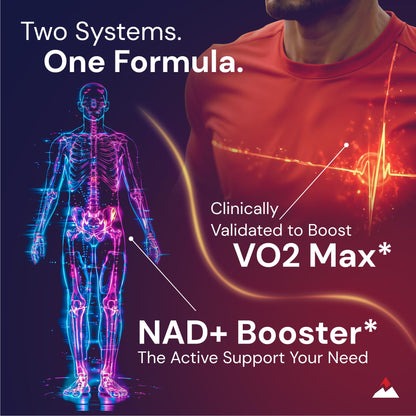 Novex Biotech Oxydrene NAD+ Enhancer – Metabolism & Cardiovascular Support (60 Capsules)