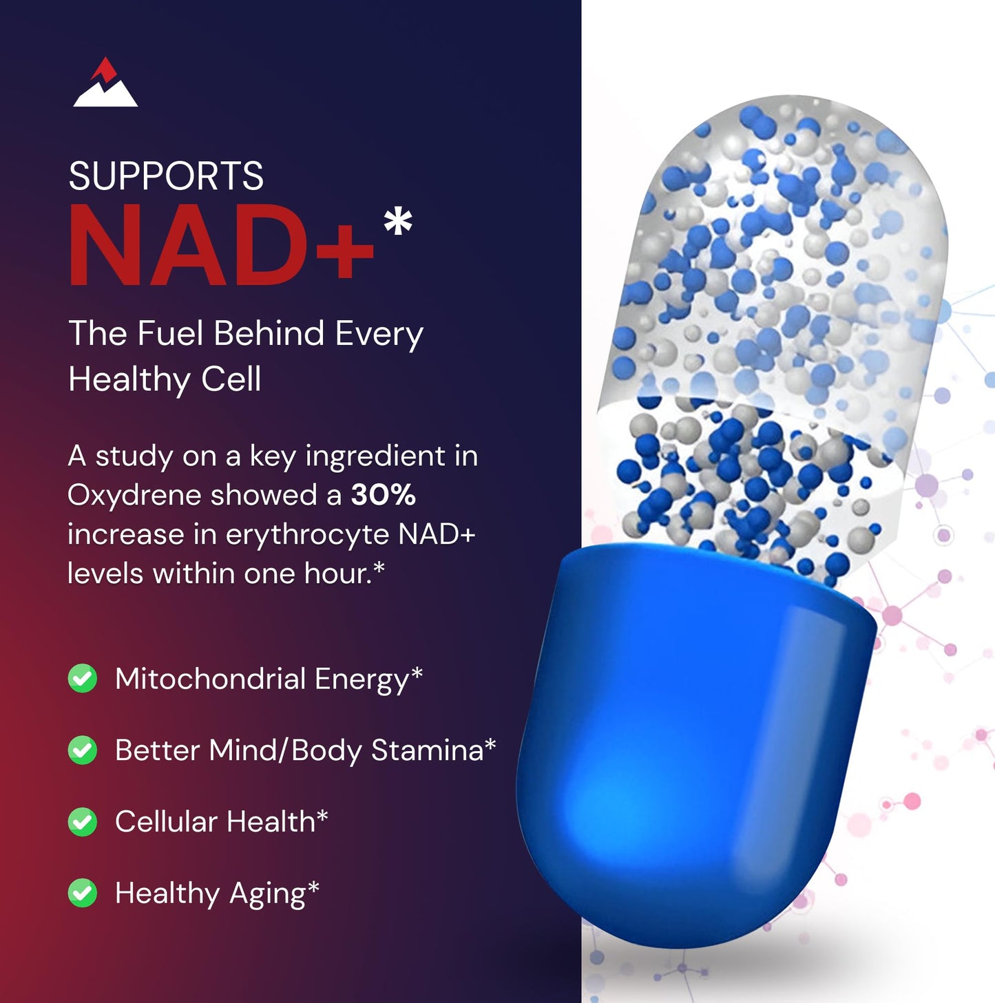 Novex Biotech Oxydrene NAD+ Enhancer – Metabolism & Cardiovascular Support (60 Capsules)
