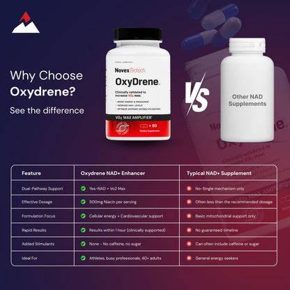 Novex Biotech Oxydrene NAD+ Enhancer – Metabolism & Cardiovascular Support (60 Capsules)