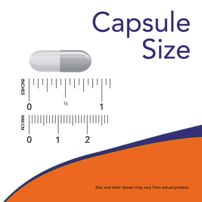 NOW Foods Alpha Lipoic Acid 250 mg – 120 Veg Capsules (2 Pack)
