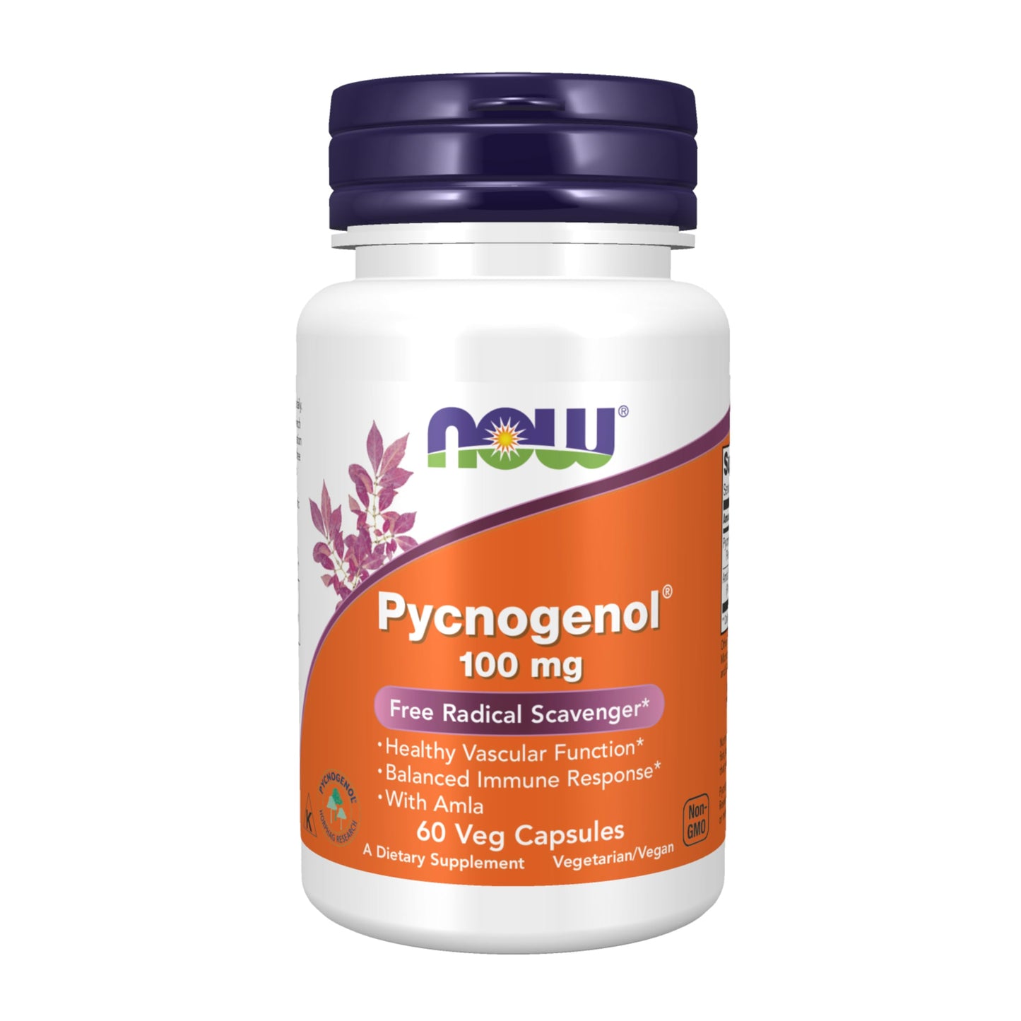 NOW Foods Pycnogenol 100 mg with Amla – 60 Veg Capsules