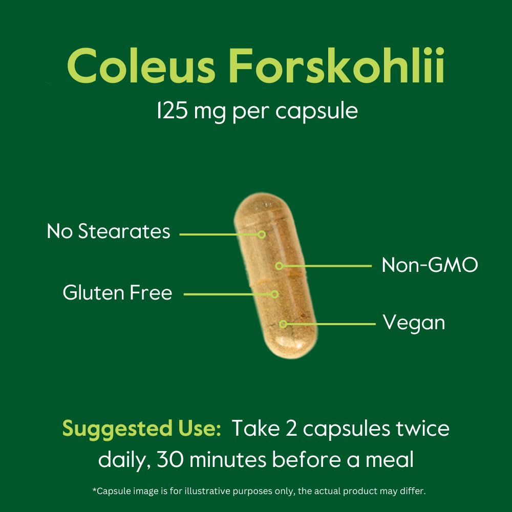 BESTVITE Coleus Forskohlii 125 mg – 20% Forskolin (120 Veg Capsules) – Forslean