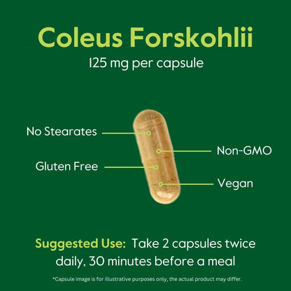 BESTVITE Coleus Forskohlii 125 mg – 20% Forskolin (120 Veg Capsules) – Forslean