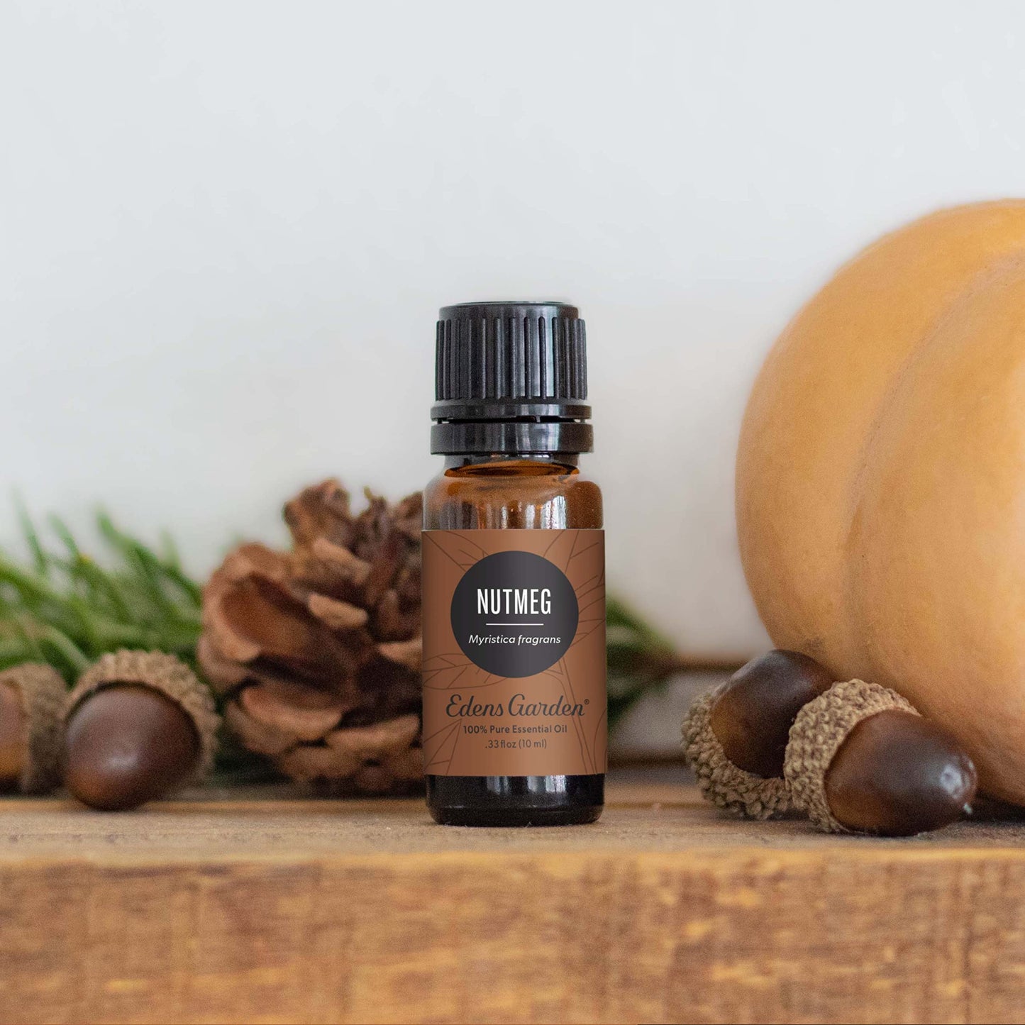 Edens Garden Nutmeg Essential Oil – 100% Pure Premium Grade, 30 ml (1 fl oz)