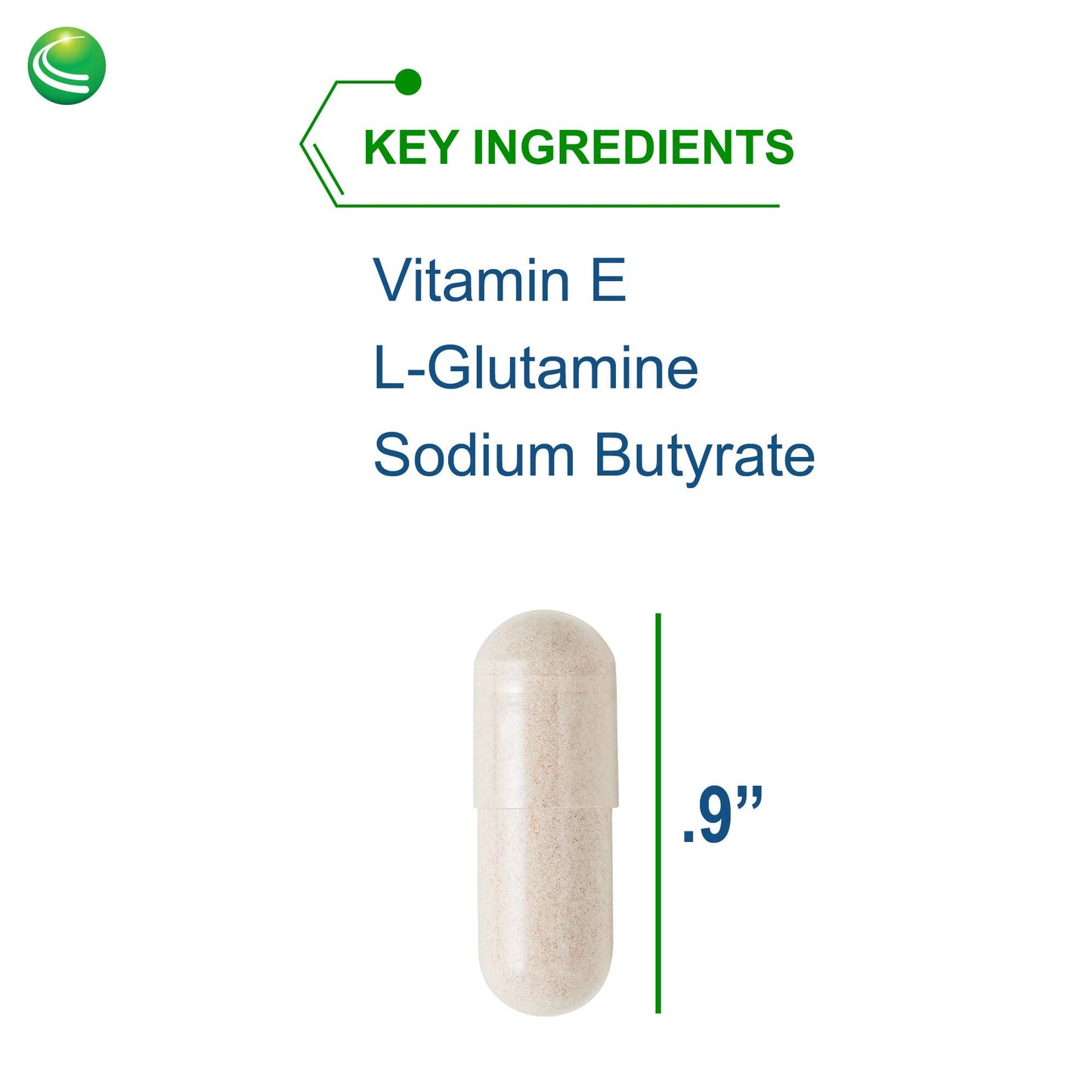Nutra Biogenesis Intestinal Repair Capsules - Gut Health Supplement with Sodium Butyrate | 120 Capsules