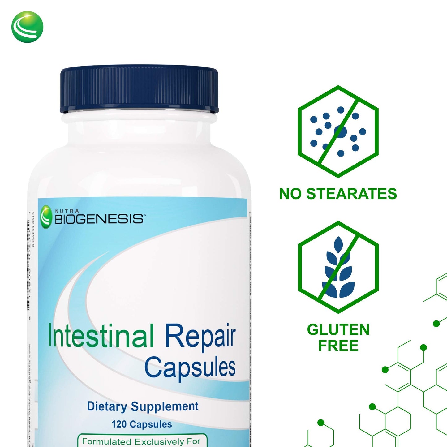 Nutra Biogenesis Intestinal Repair Capsules - Gut Health Supplement with Sodium Butyrate | 120 Capsules