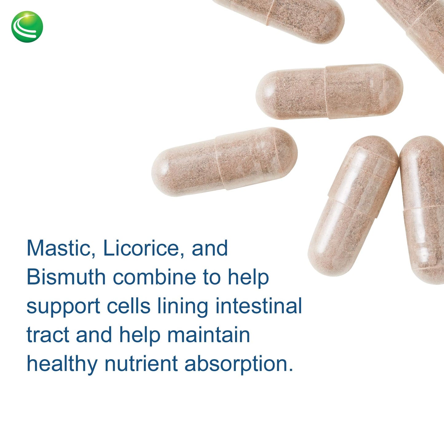 Nutra Biogenesis Gastric Support Complex – DGL Licorice & Mastic Gum | 60 Caps
