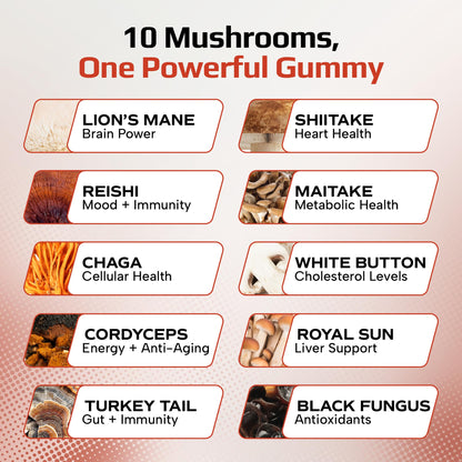 Effective Nutra Mushroom Gummies 2500mg - 10-in-1 Lion’s Mane, Reishi, Chaga, Cordyceps & More - Focus, Clarity, Memory - Raspberry Flavor, Vegan, Made in USA (2-Pack)