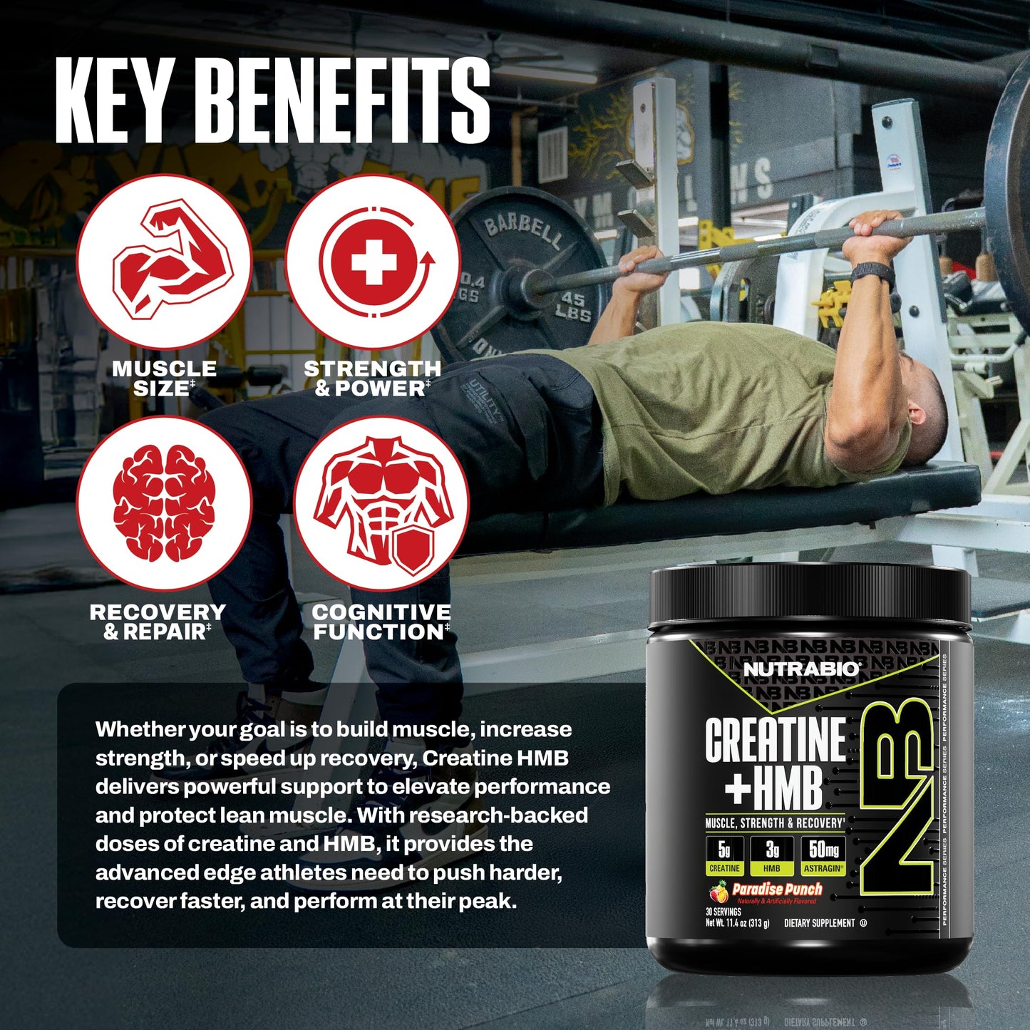 NutraBio Creatine + HMB Powder – Creatine Monohydrate + HMB (Paradise Punch) 30 Servings
