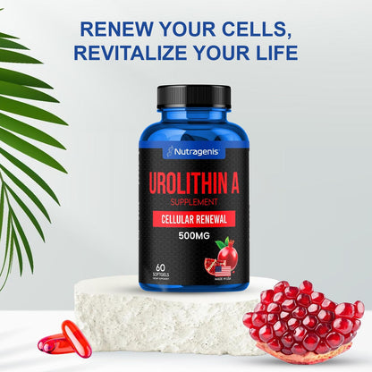Nutragenis Urolithin A 500mg Softgels – Advanced Mitochondrial Support