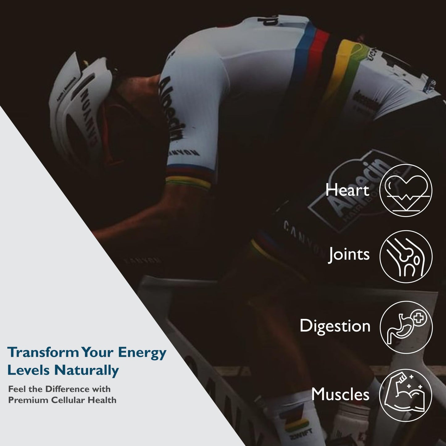 Nutragenis Urolithin A 500mg Softgels – Advanced Mitochondrial Support