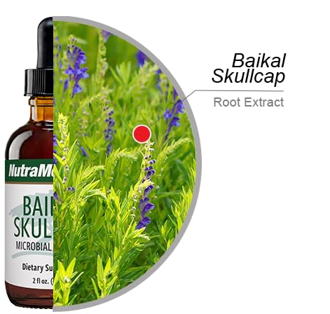 NutraMedix Baikal Skullcap Tincture - Immune Support & Heart Health (2 oz)