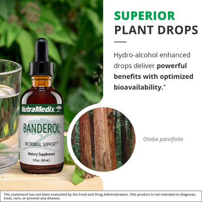 NutraMedix Banderol Daily Immune Support Tincture — Vegan Otoba Bark Drops (1 oz)