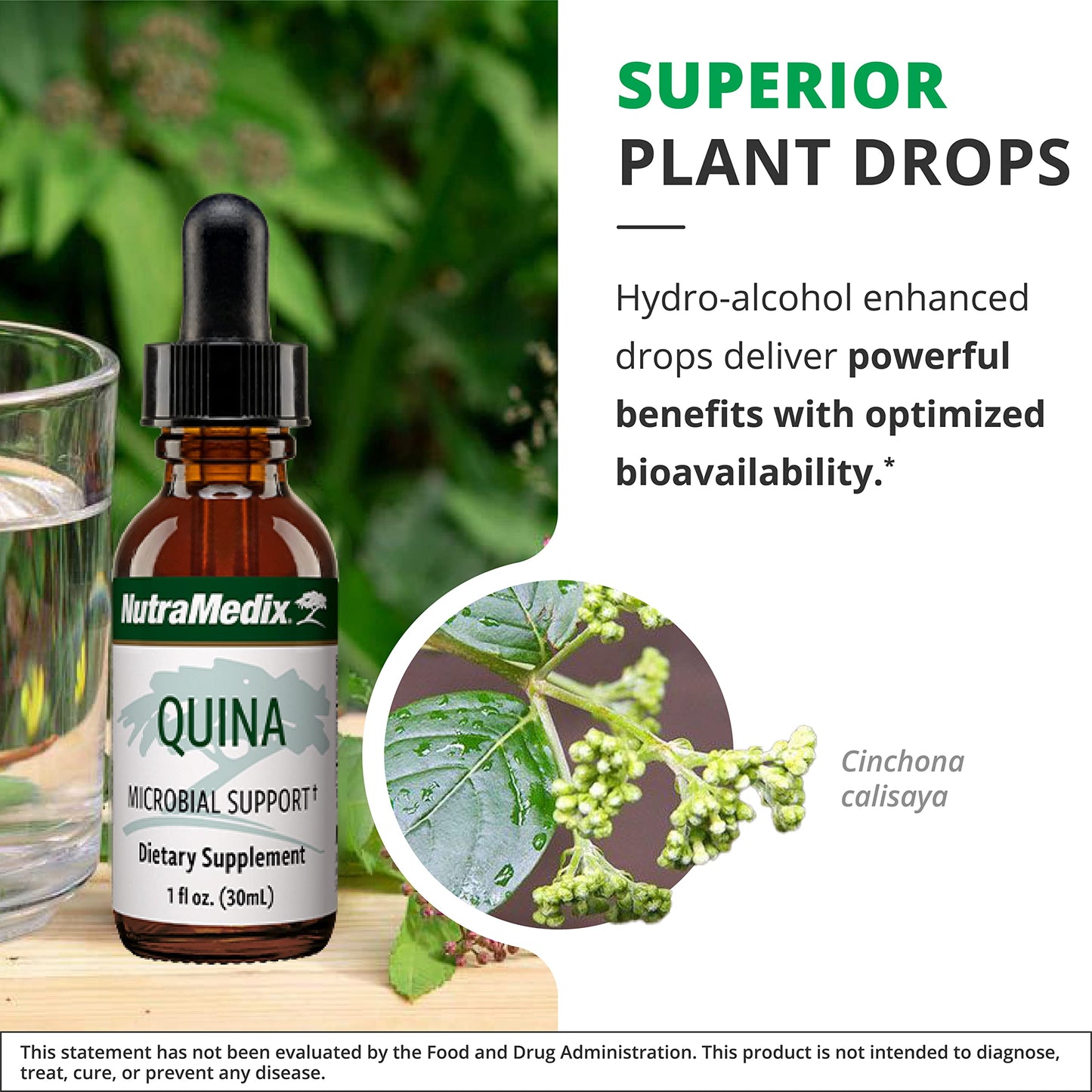 NutraMedix Quina Herbal Extract – Immune Support Liquid Drops (Peru Calisaya Bark) 1oz/30ml