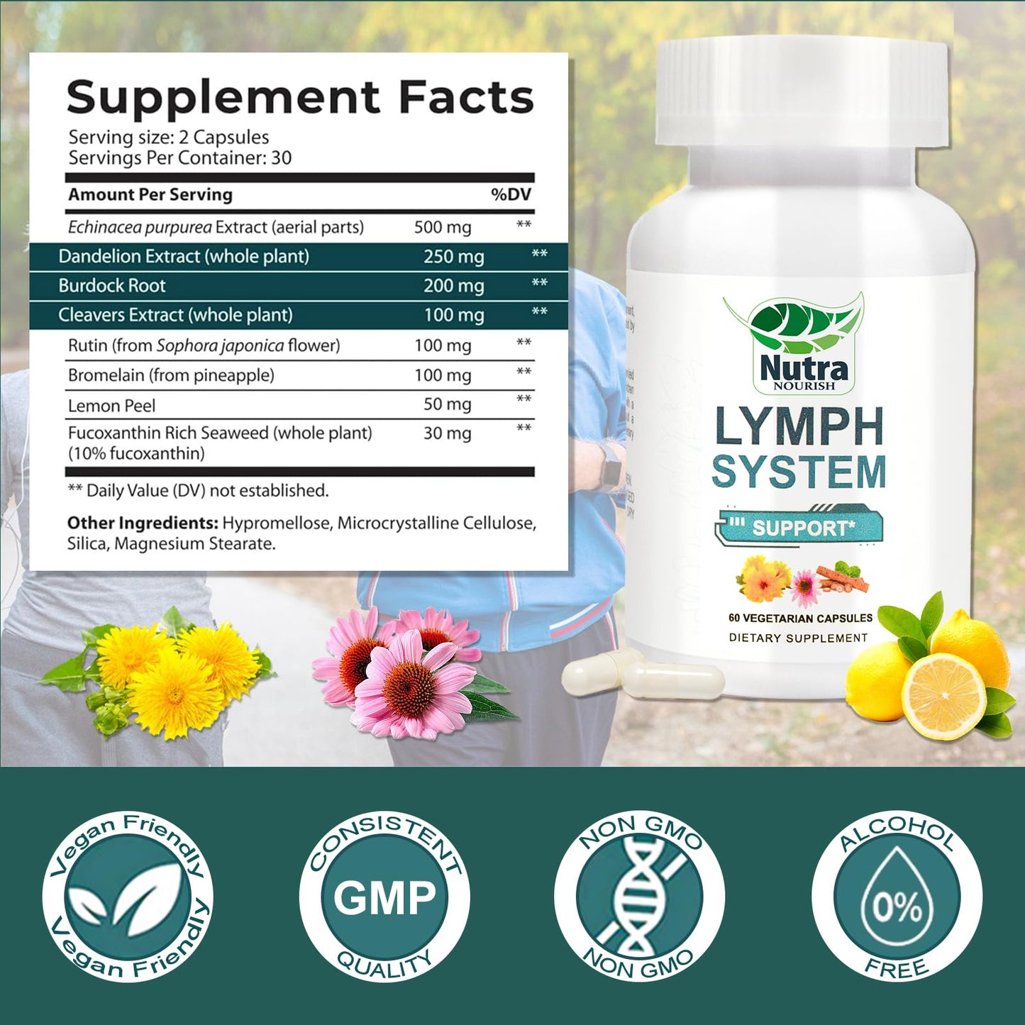 NutraNourish Lymphatic Drainage Supplements – Dandelion, Echinacea & Bromelain | 120 Count Bottles (2)