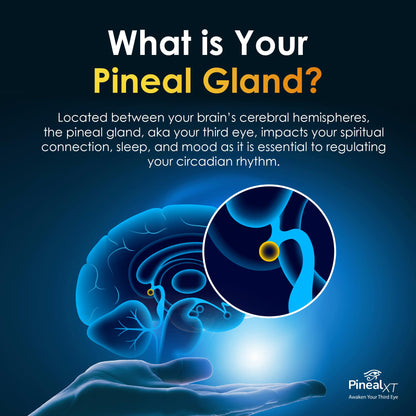 Nutraville Pineal XT Gold - Pineal Gland Support, Focus & Memory