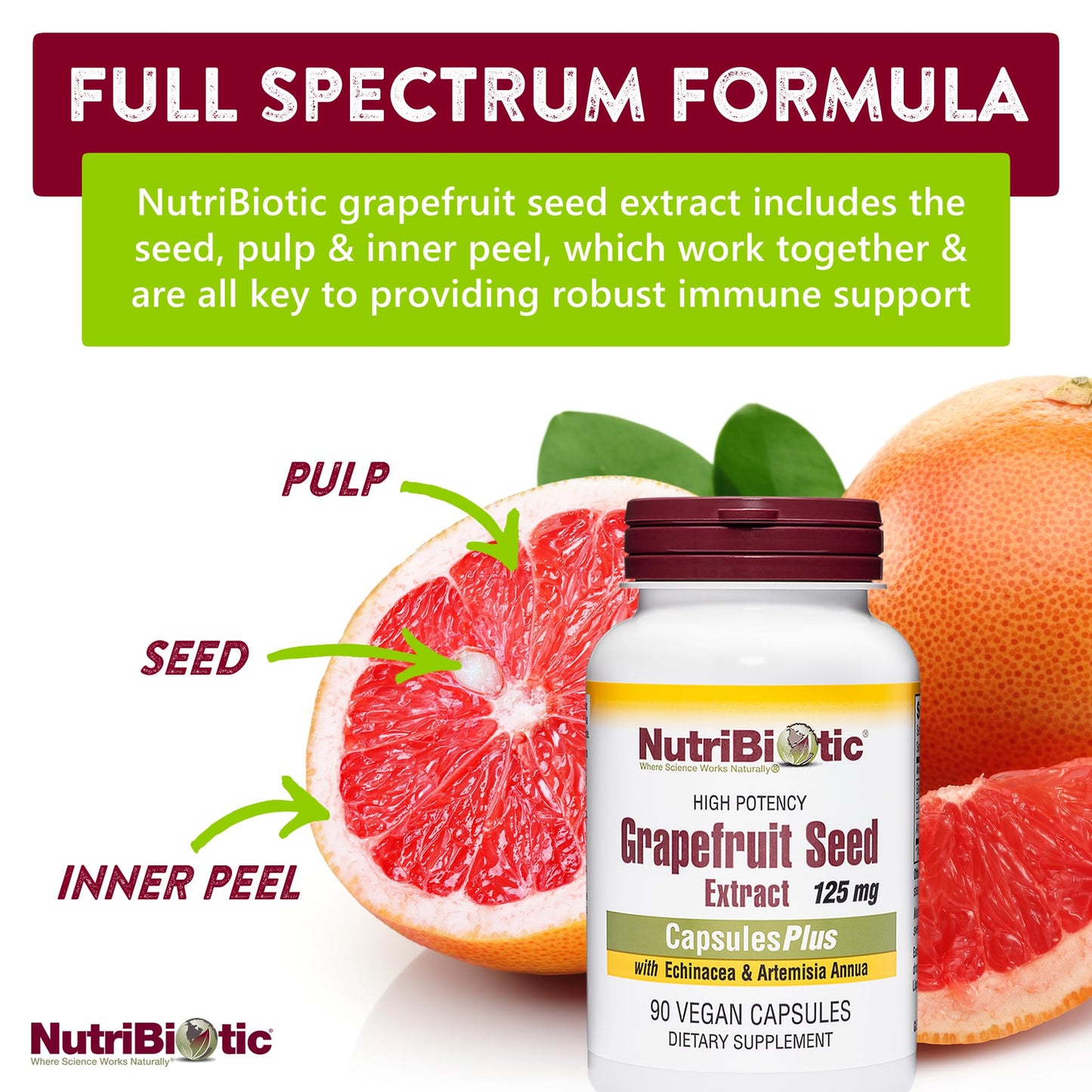 NutriBiotic Grapefruit Seed Extract CapsulesPlus – 125 mg GSE, 90 Count (Pack of 2) | Vegan, Gluten-Free, Non-GMO