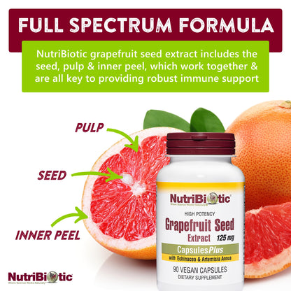 NutriBiotic Grapefruit Seed Extract CapsulesPlus – 125 mg GSE, 90 Count (Pack of 2) | Vegan, Gluten-Free, Non-GMO