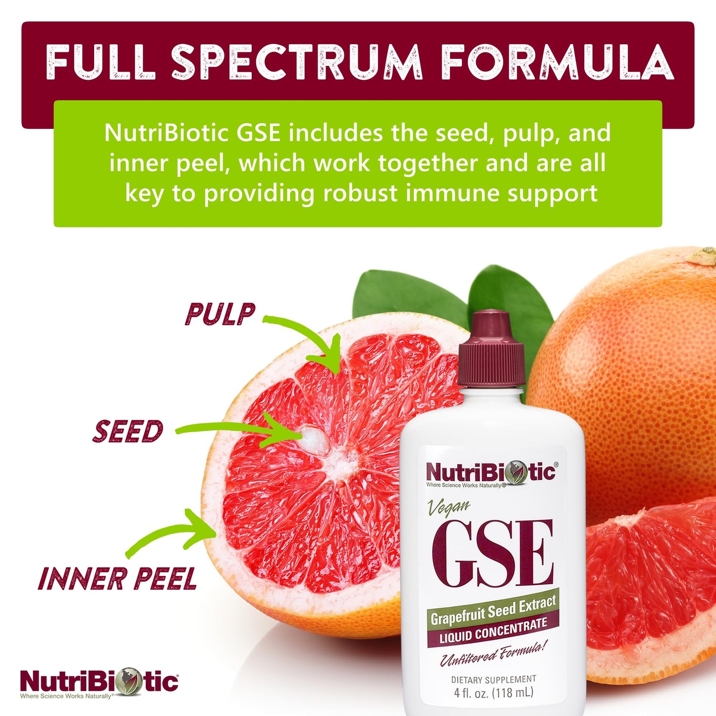 NutriBiotic GSE 4 Oz Liquid – Grapefruit Seed Extract with Bioflavonoids | Vegan, Gluten Free, Non-GMO (Pack of 2)