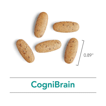 Nutricology Cognibrain – Memory & Focus Support with Lion's Mane, 90 Count