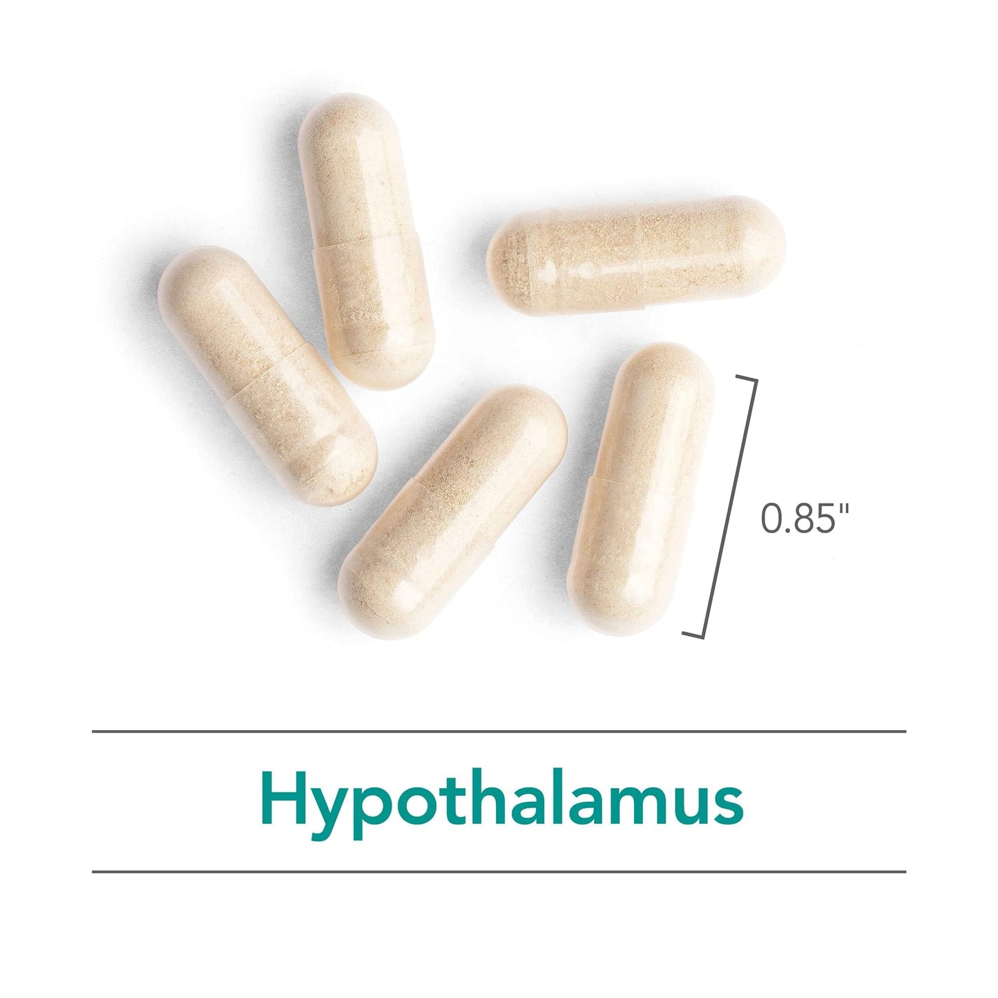 Nutricology Hypothalamus Supplement - Endocrine Support (Adrenal, 500mg) Vegicaps