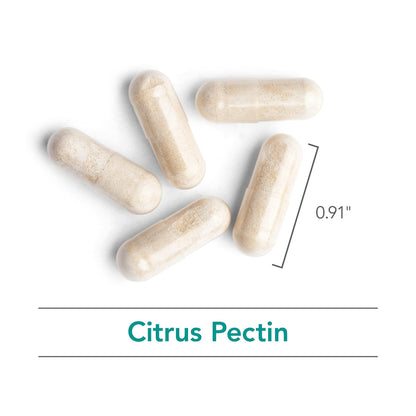 Nutricology Modified Citrus Pectin - Gut Support Capsules | 120 Vegetarian