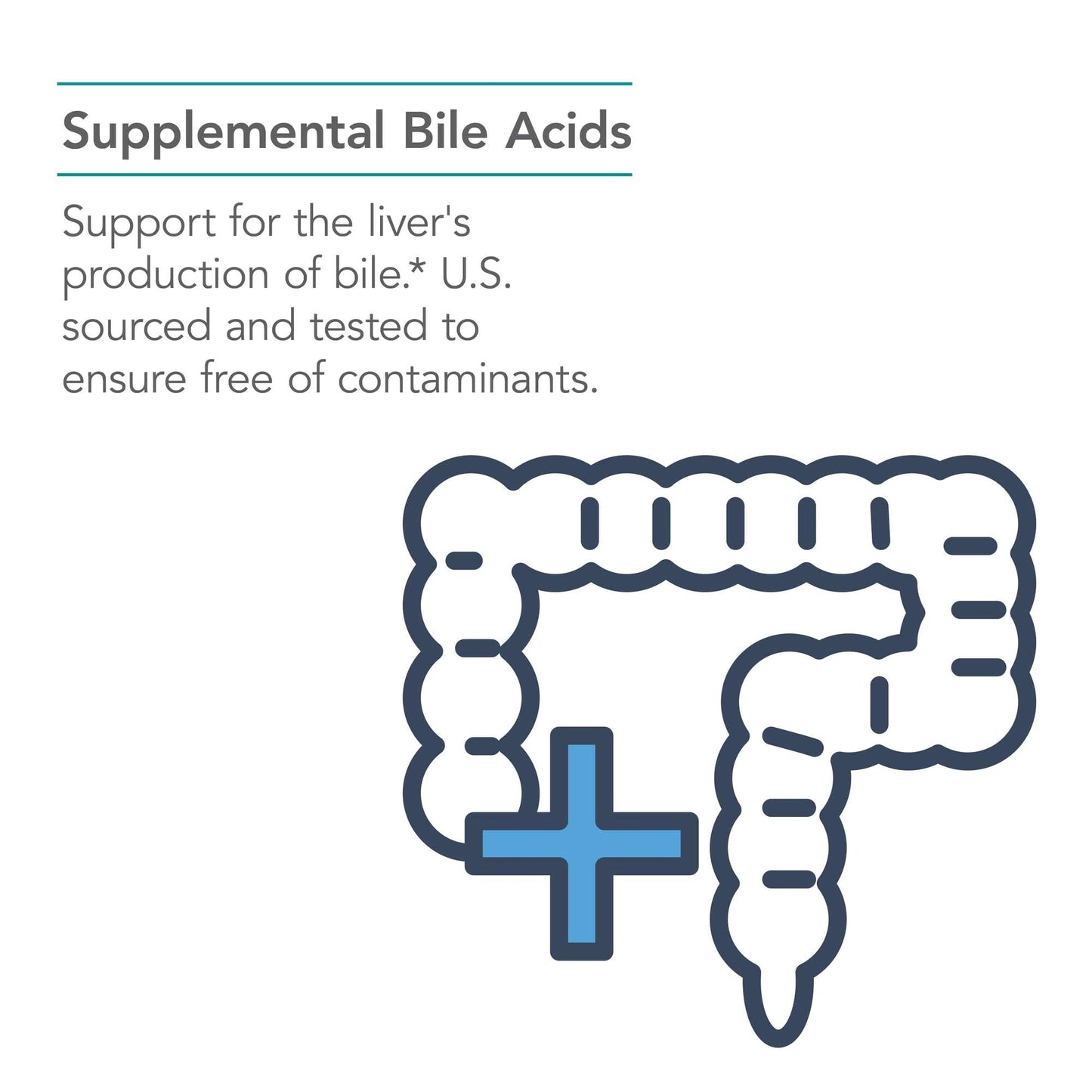 Nutricology Ox Bile 125 mg - Digestive Enzymes for Fat Digestion & Liver Support | 180 Count