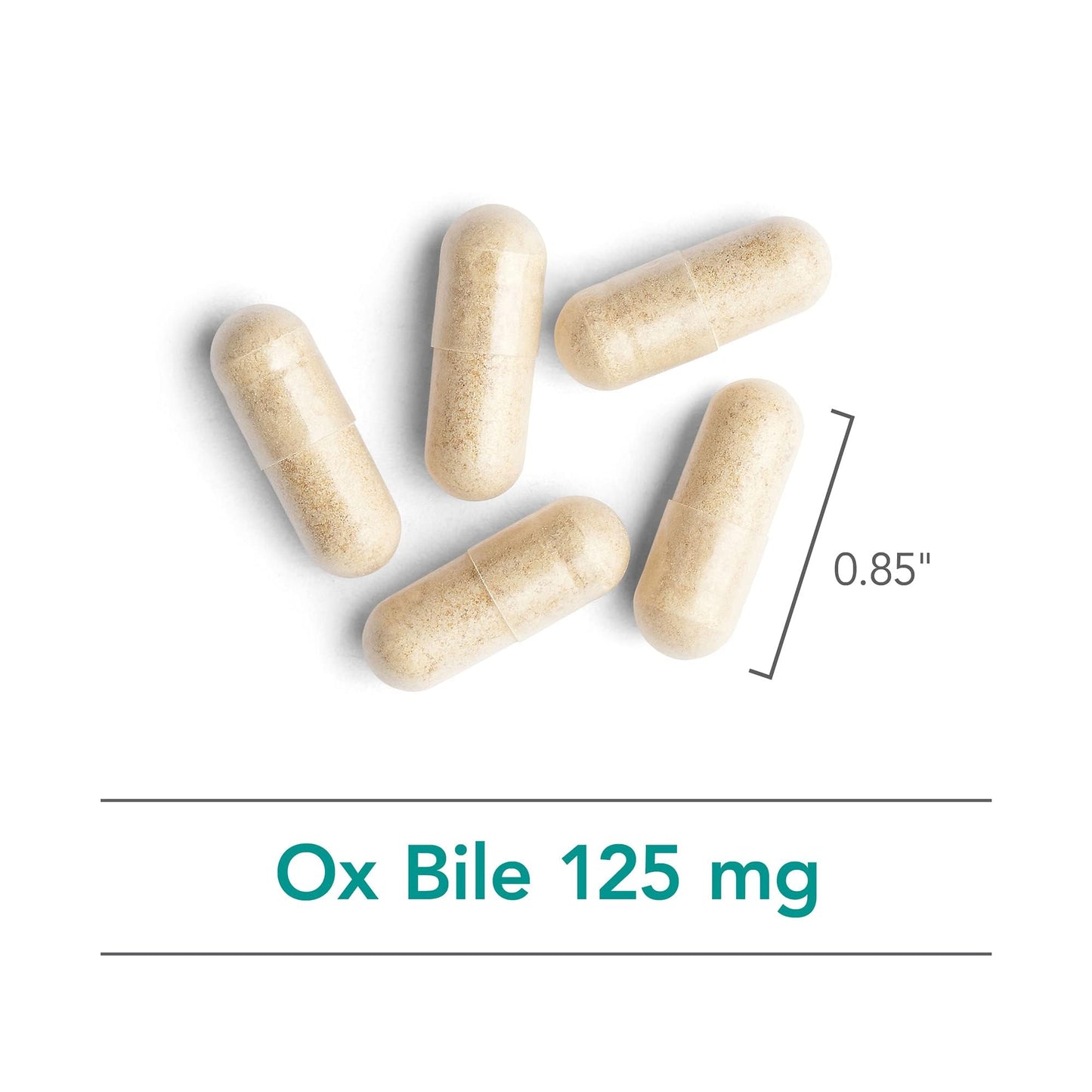 Nutricology Ox Bile 125 mg - Digestive Enzymes for Fat Digestion & Liver Support | 180 Count