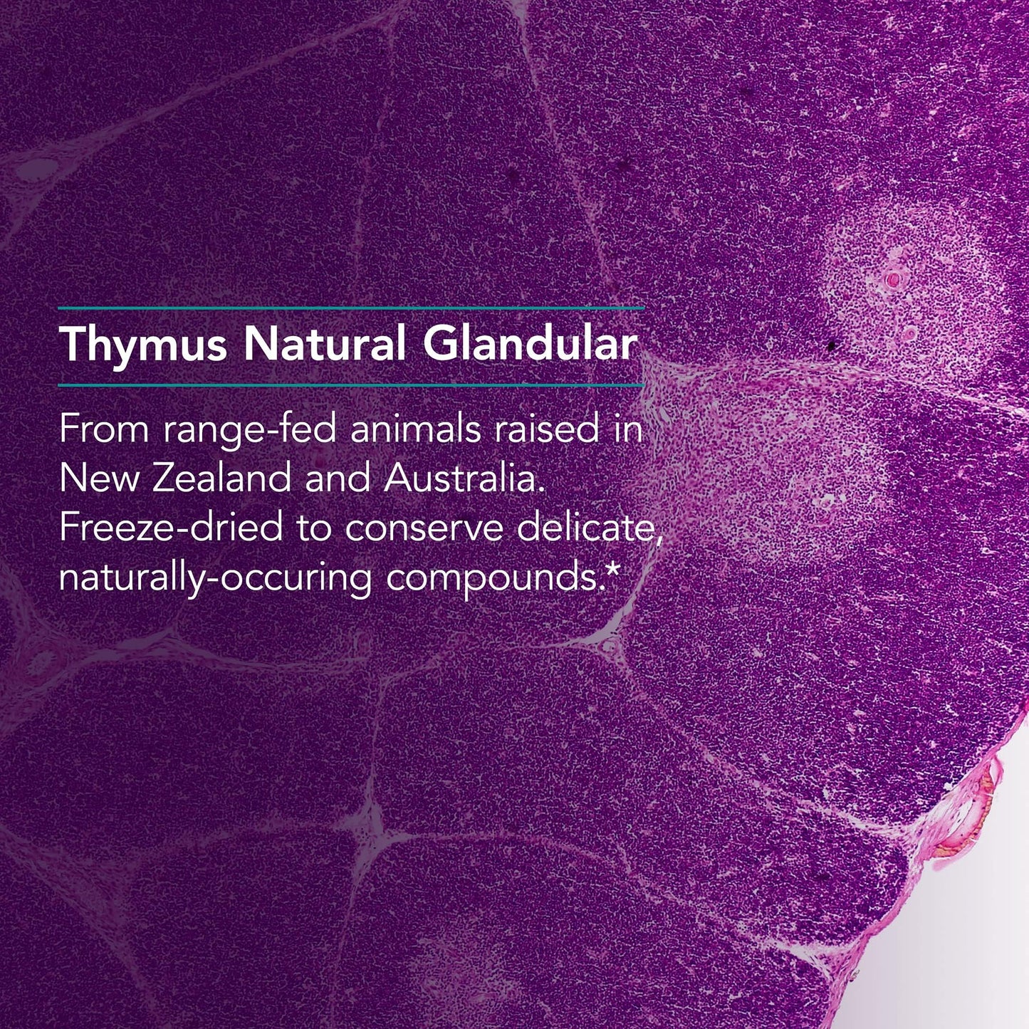 Nutricology Thymus Supplement - 1000mg Ovine Glandular (Lyophilized) | Hypoallergenic | 75 Count