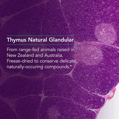 Nutricology Thymus Supplement - 1000mg Ovine Glandular (Lyophilized) | Hypoallergenic | 75 Count