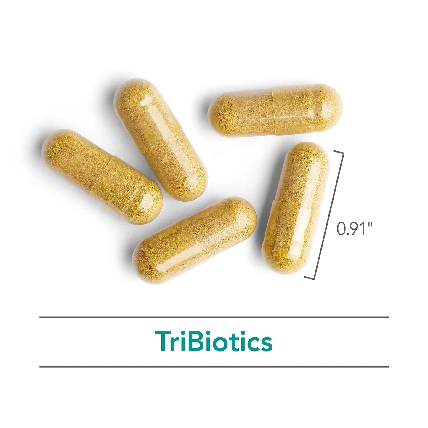 Nutricology TriBiotics - GI Balancers & Gut Health - Berberine, Citrus Seed, Black Walnut - 90 Count