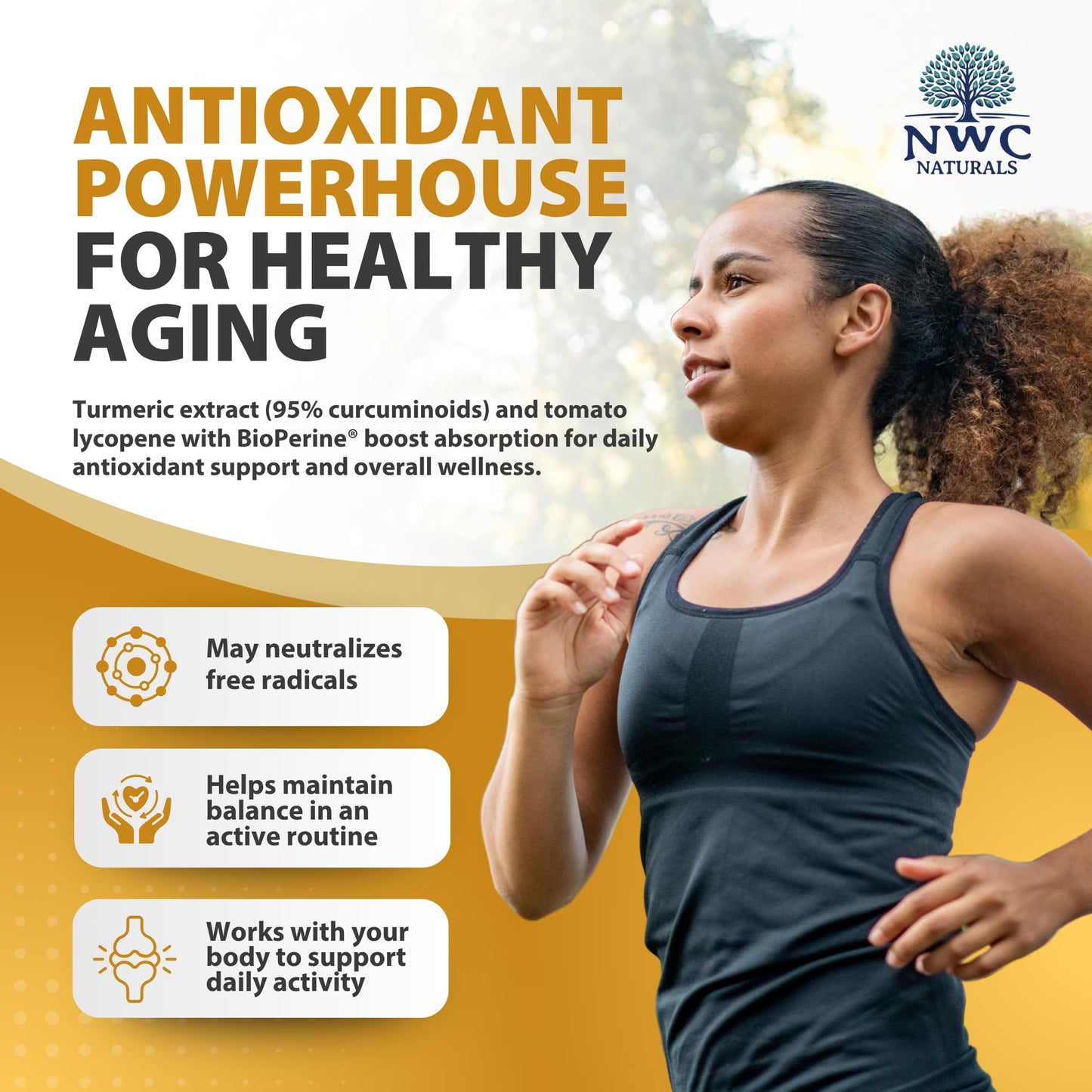 NWC Naturals MSM Gold – Systemic Enzyme + Turmeric, Lycopene & BioPerine for Joint & Muscle Support
