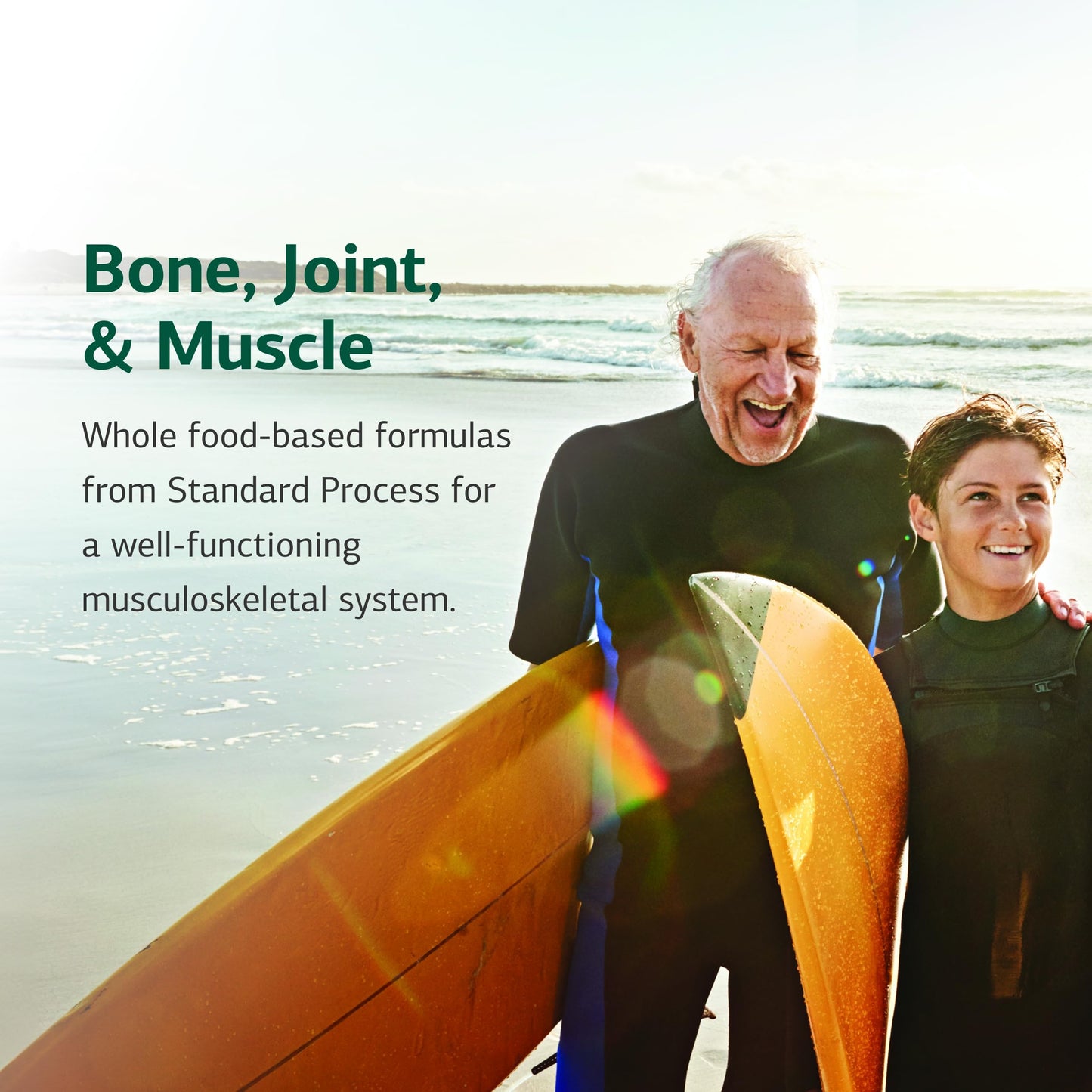 Standard Process Nutrimere – Joint Health Support (Perna Canaliculus & Green Mussel) – 90 Capsules