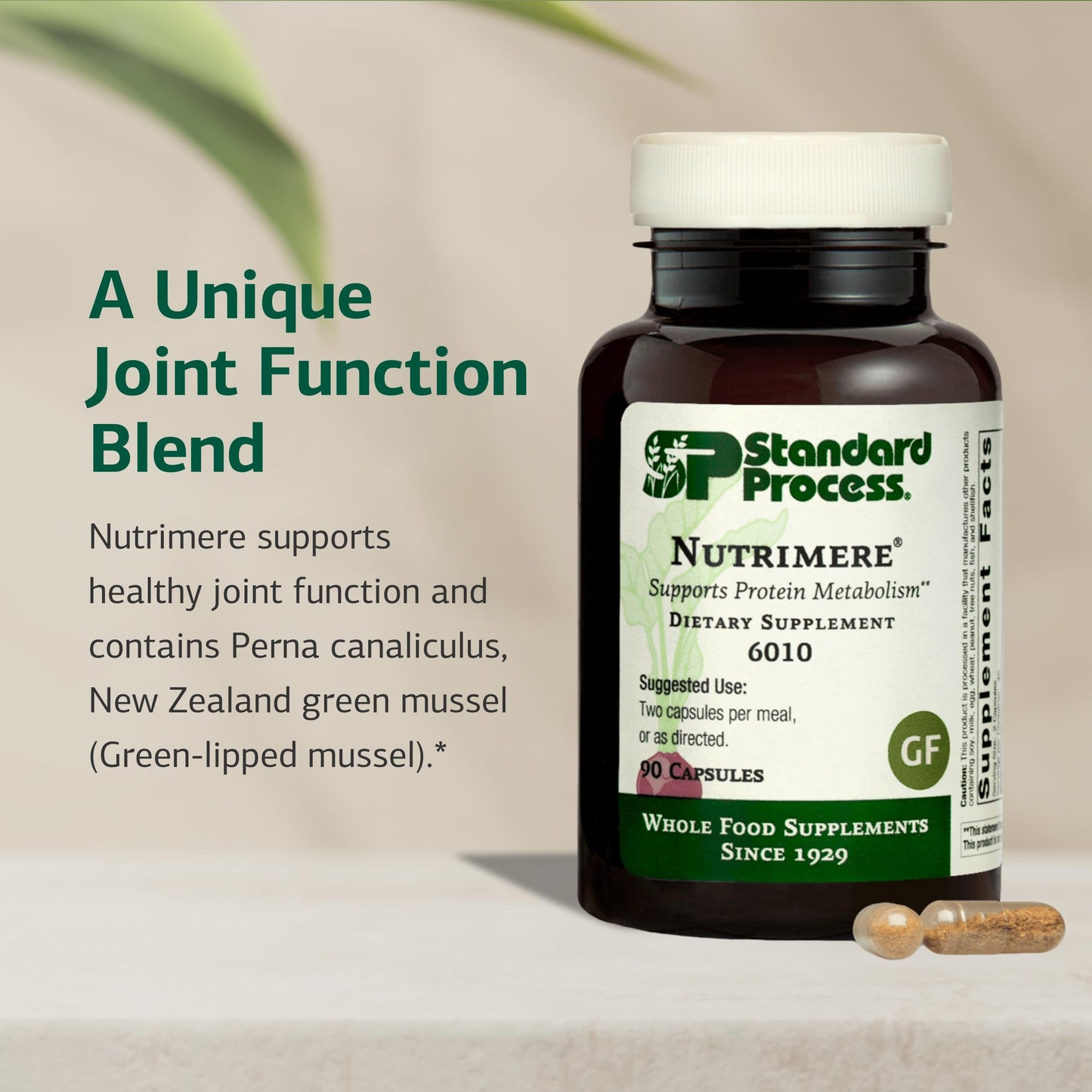 Standard Process Nutrimere – Joint Health Support (Perna Canaliculus & Green Mussel) – 90 Capsules