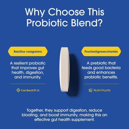 Nutrition Essentials GMP Certified Probiotic Dietary Supplement – 6 Bottles, 360 Capsules