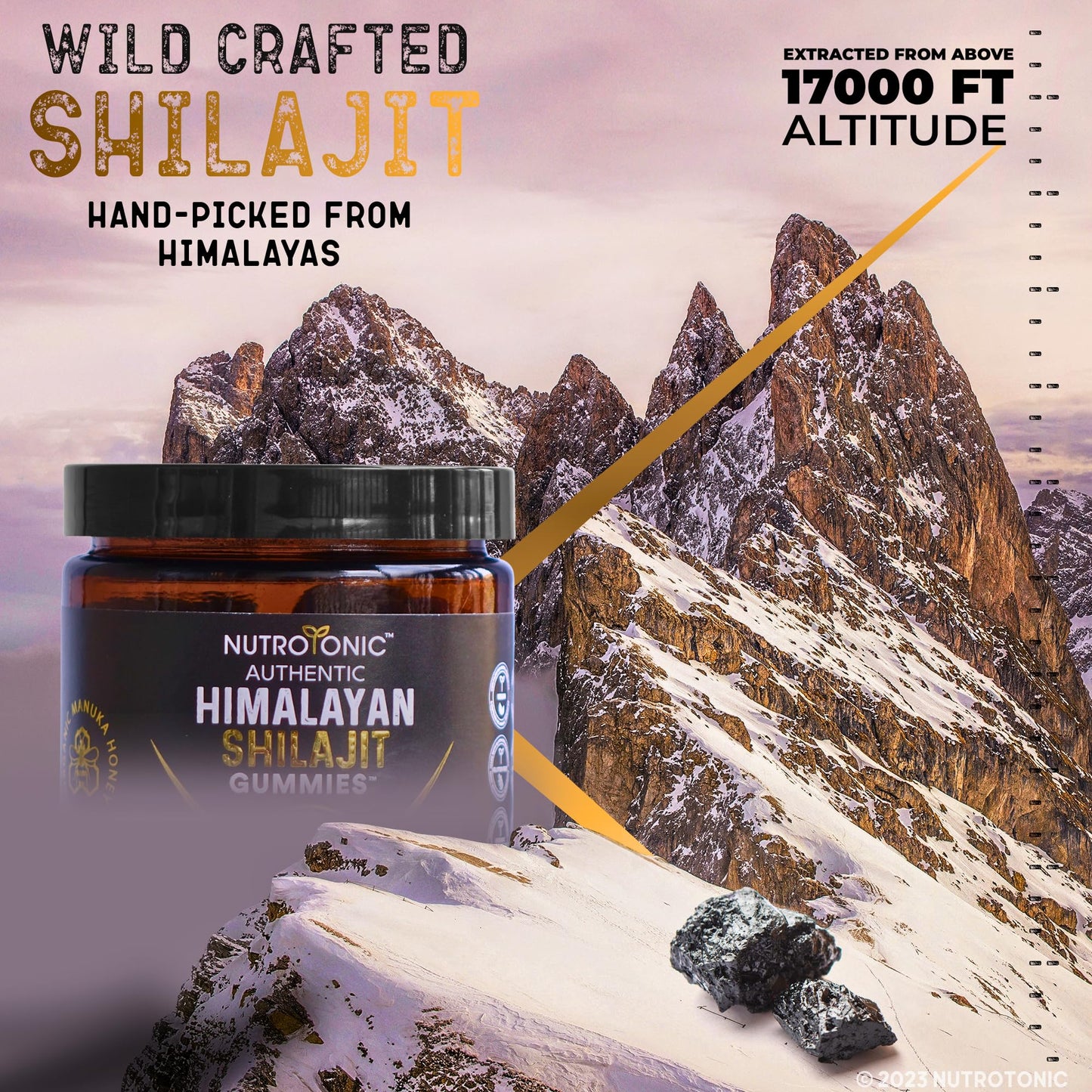 NutroTonic Organic Himalayan Shilajit Gummies – Pomegranate & Vanilla Flavor | Made in USA