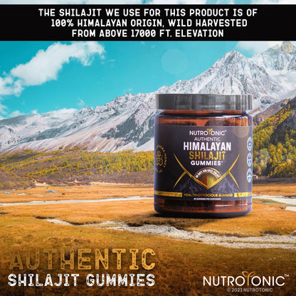 NutroTonic Himalayan Shilajit Gummies – Peach Vanilla, MGO 263 Manuka Honey – Made in USA – 30 Gummies