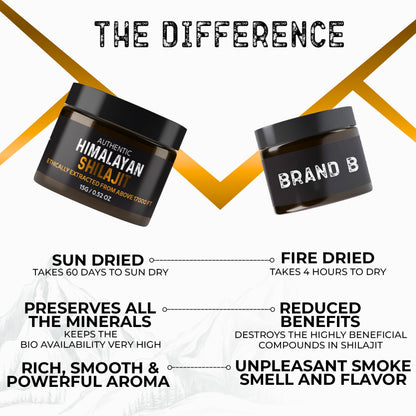 NutroTonic Authentic Himalayan Shilajit Resin | 60 Days Sun-Dried, Lab-Tested