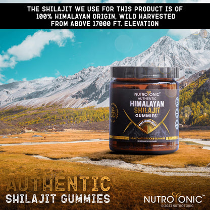 Organic SHILAJIT Gummies by NutroTonic | Cane Sugar Free, Organic Manuka Honey | 30 Gummies