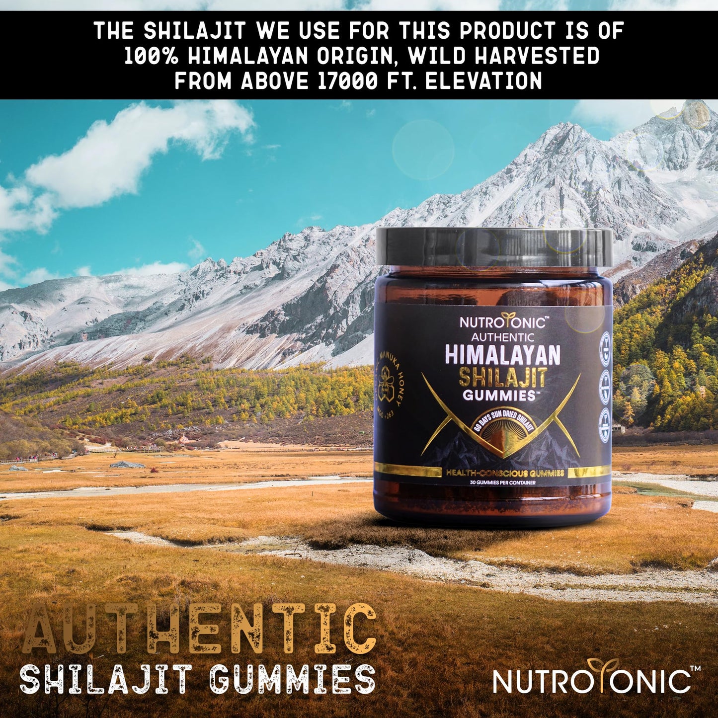 NutroTonic Organic Himalayan Shilajit Gummies – Raspberry Vanilla, Manuka Honey MGO +263 | Made in USA | 30 Gummies