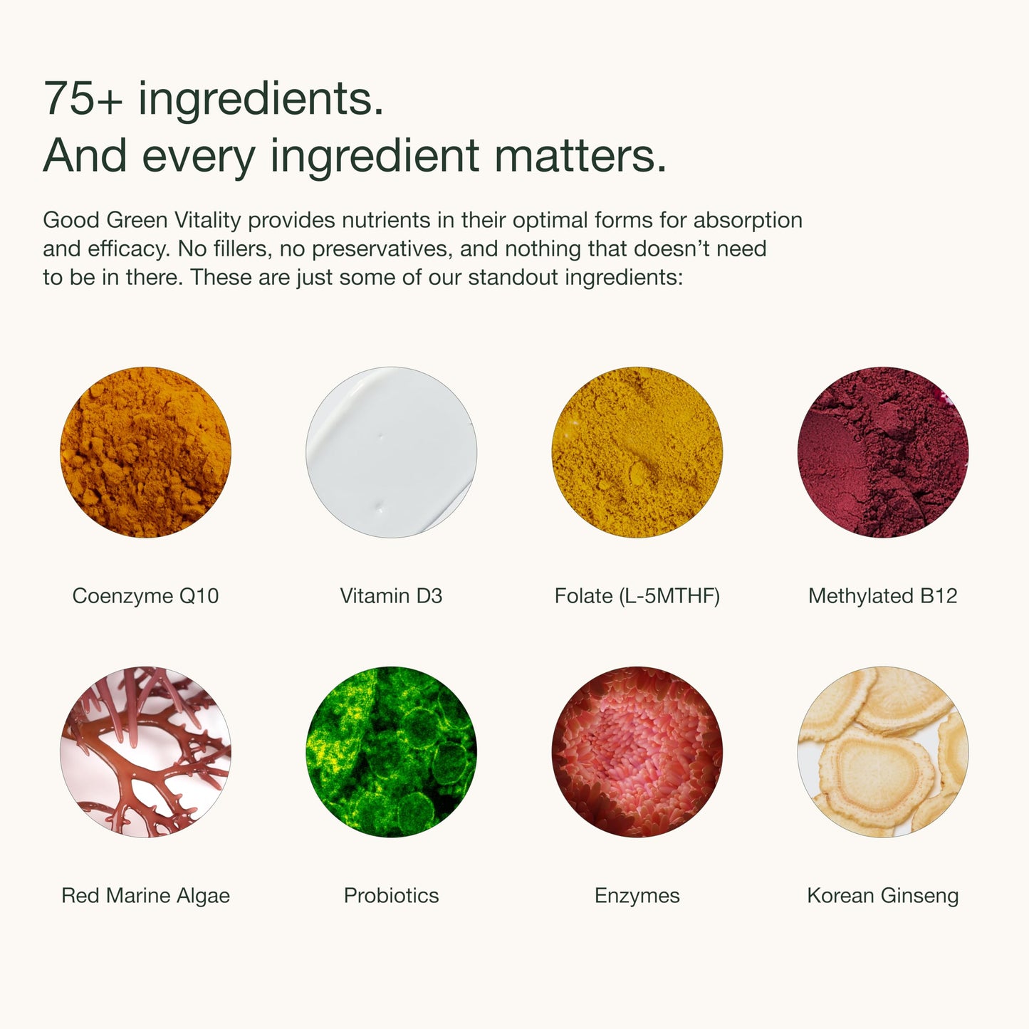 Nuzest Good Green Vitality Greens Powder – Vegan Multivitamin with 75+ Ingredients (300g)