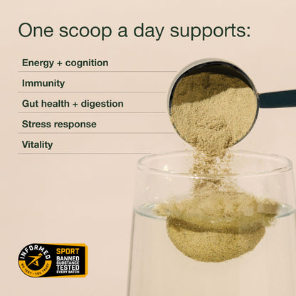 Nuzest Good Green Vitality Greens Powder – Vegan Multivitamin with 75+ Ingredients (300g)