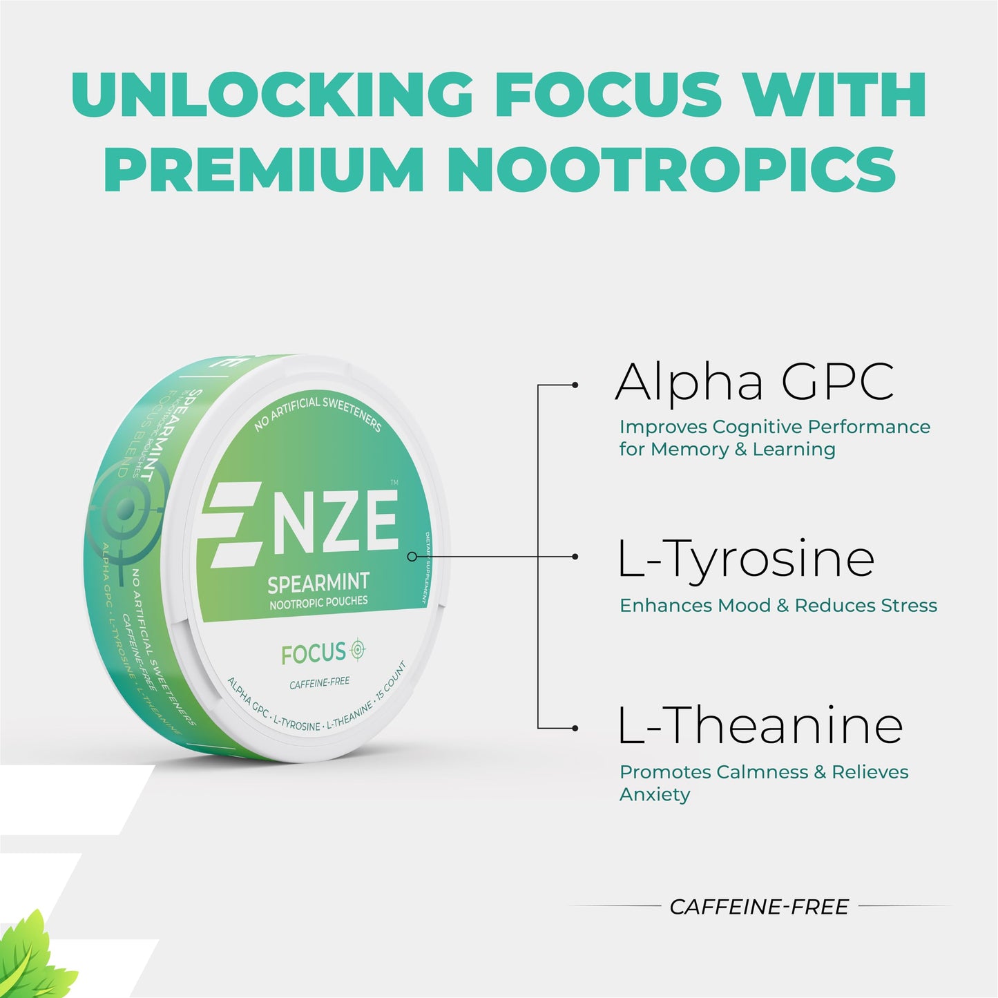 NZE Caffeine Free Nootropic Pouches – Spearmint, Alpha GPC, L-Tyrosine & L-Theanine | No Sugar or Artificial Sweeteners | 15 Pouches/Can, 5 Pack