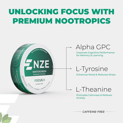 NZE Caffeine Free Nootropic Pouches (Wintergreen) – 15 Pouches Per Can – 5 Pack
