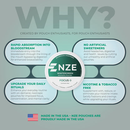 NZE Caffeine Free Nootropic Pouches (Wintergreen) – 15 Pouches Per Can – 5 Pack