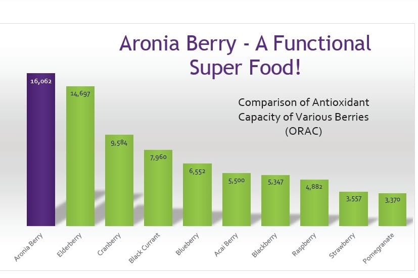 GUT BAR Aronia Powder | Aronia Berry Powder | 52 Servings | Digestive Support & Gut Health